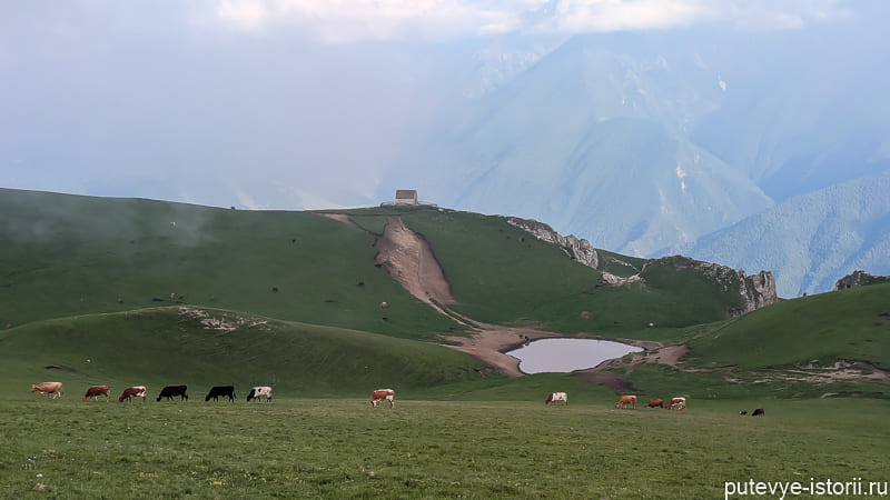 гора столовая