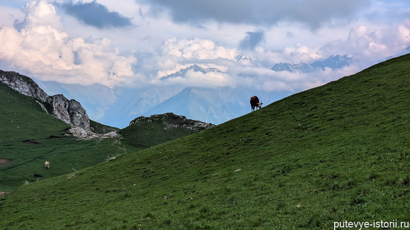 гора столовая